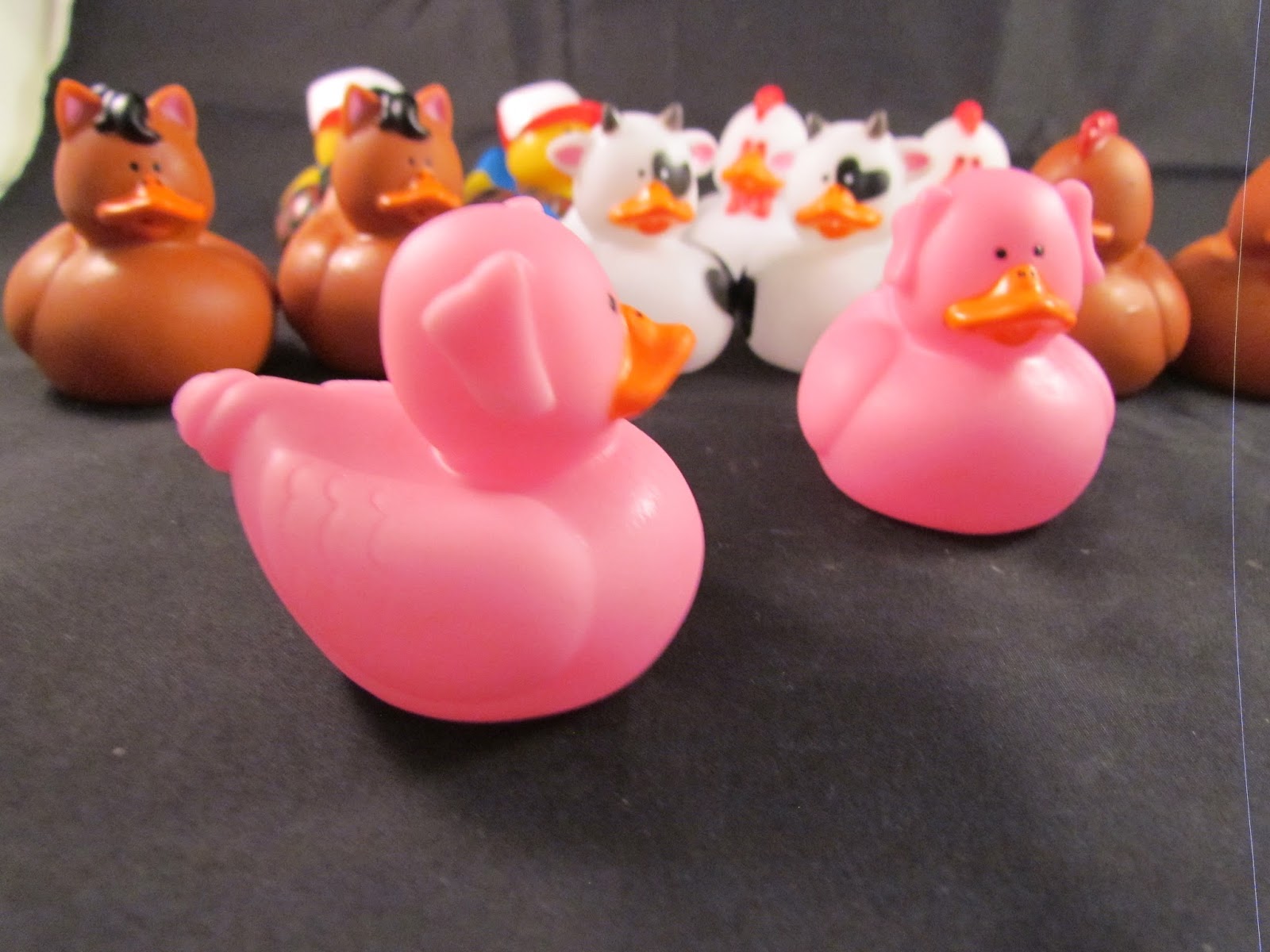 Missy's Product Reviews Farm Animal Rubber Duck