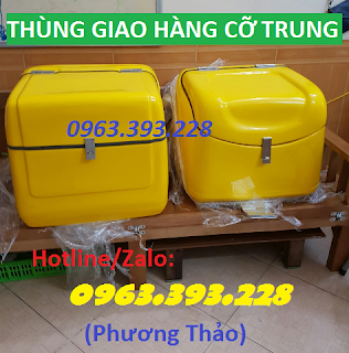 Sức khỏe, đời sống: Thùng chở hàng cỡ trung cao cấp các loại 1