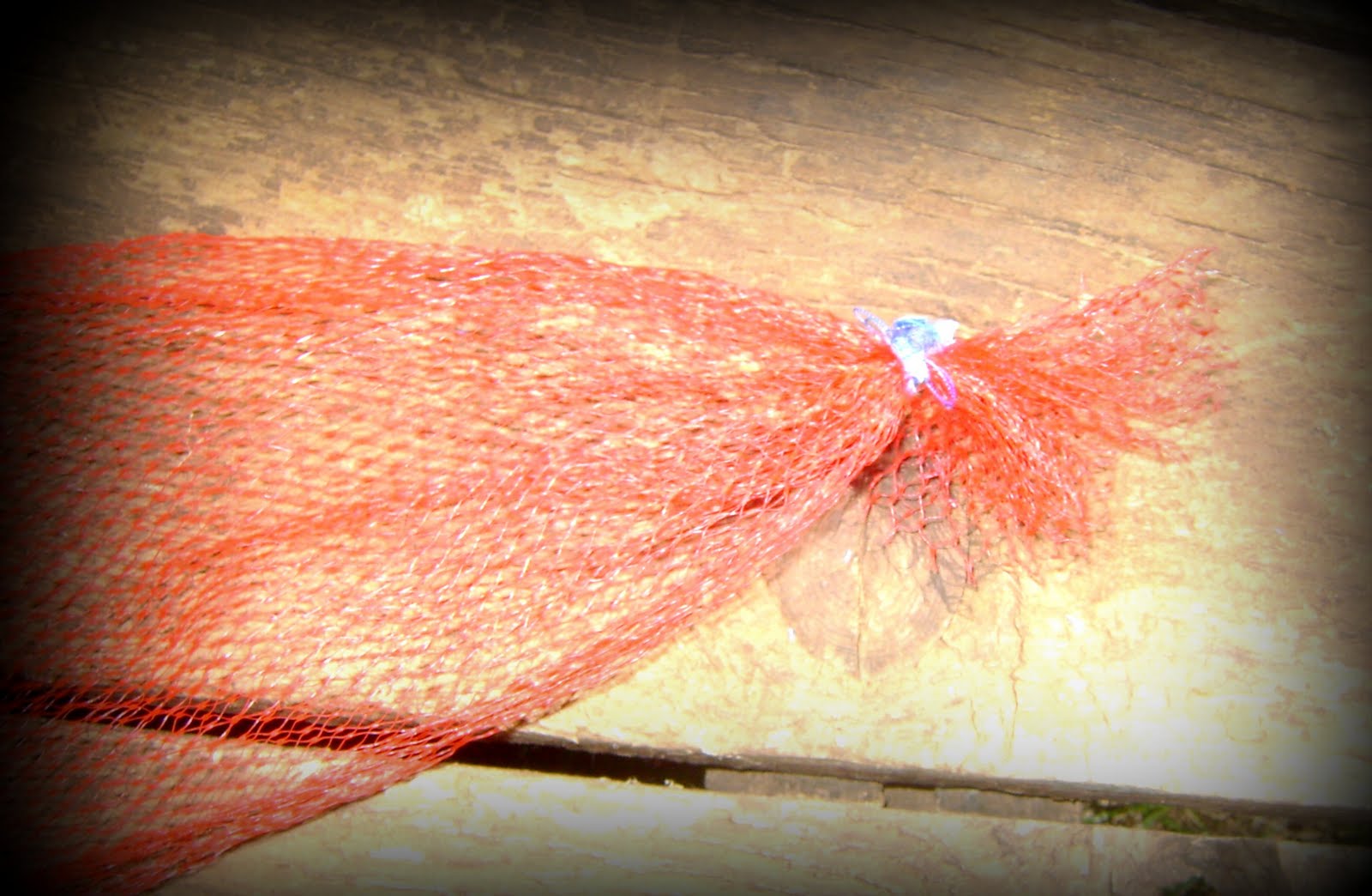 Sha Chicks Bird Nesting Bag