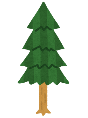 杉の木のイラスト