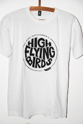 noel flying birds gallagher