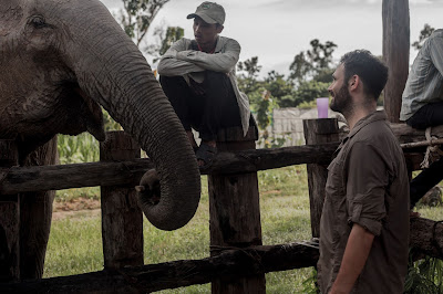 elephant sanctuary