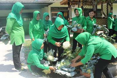 PERSIT KODIM SRAGEN RAME RAME PANEN SAYUR