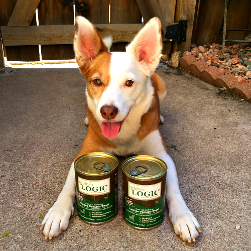 Rubicon Days Choosing a Quality Canned Dog Food with Nature's Logic