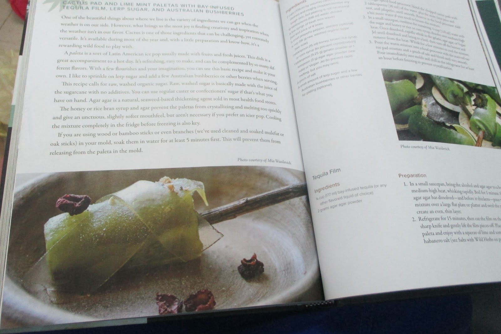 Mudflower Mentha Australis Native River Mint