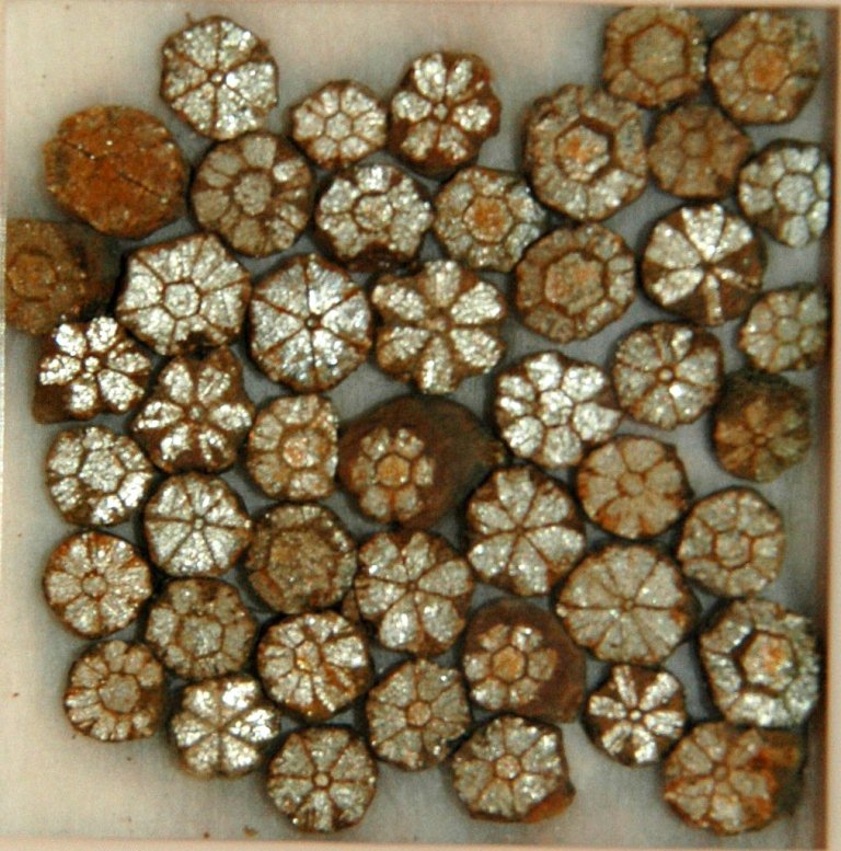 Cherry Blossom Stone Is a Natural Wonder (Photos) Geology In