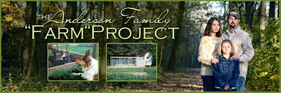 <center>Anderson Family "Farm" Project</center>