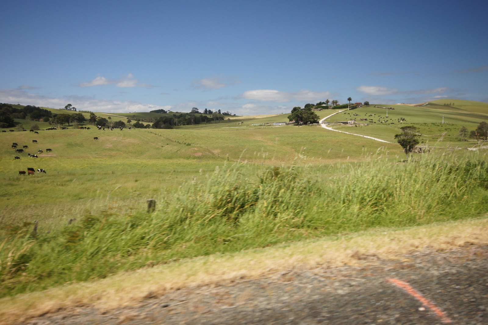 Magi and Sam: Maungaraho Rock south of Dargaville...recommended for ...