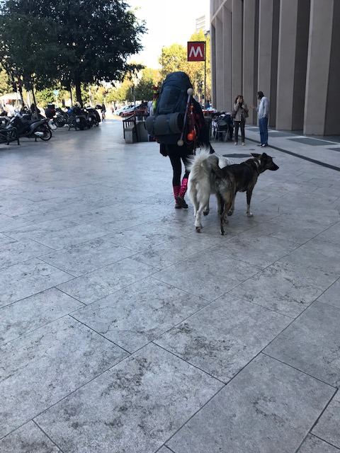 大きな犬を連れたバックパッカー