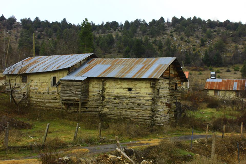 serdar in gezi notlari