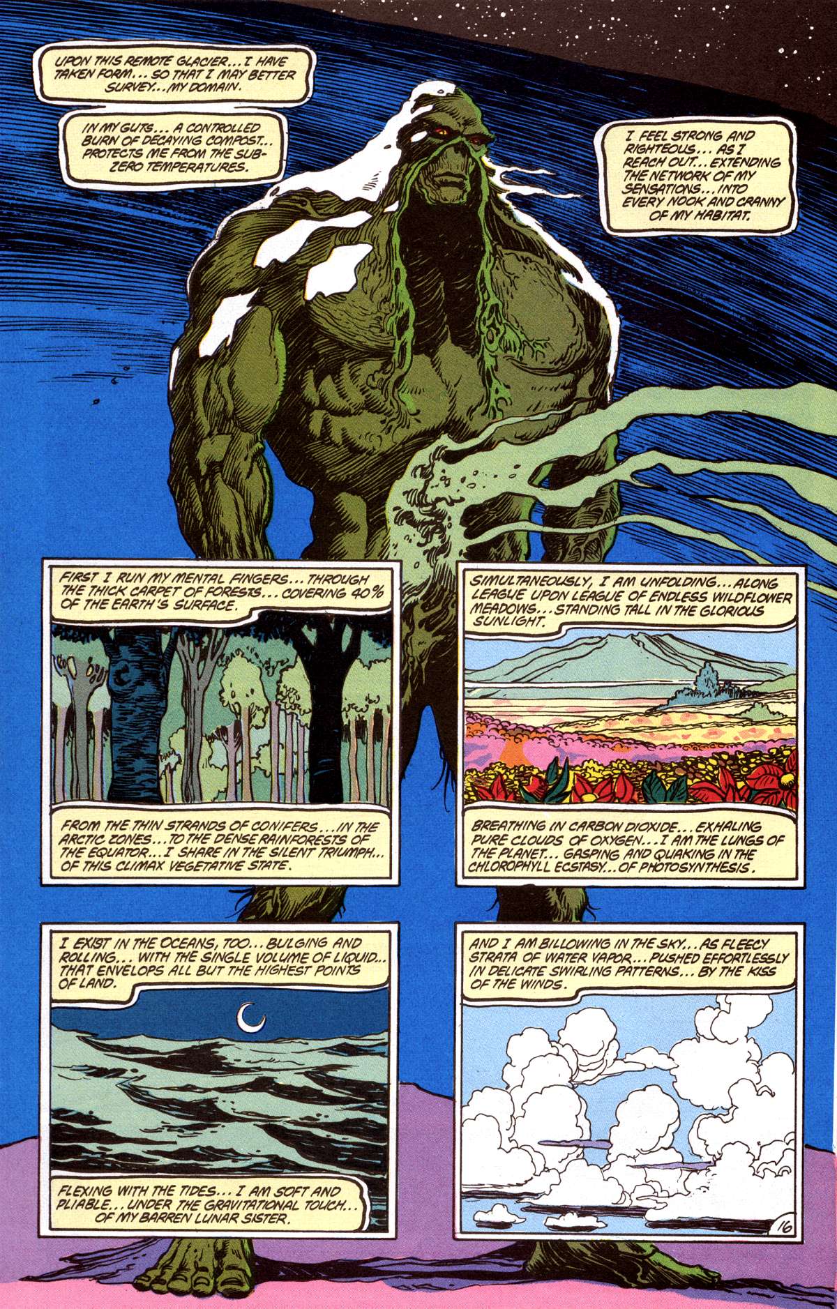 Swamp Thing (1982) Issue #80 #88 - English 16