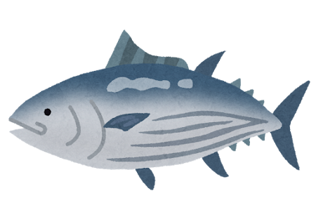 カツオのイラスト