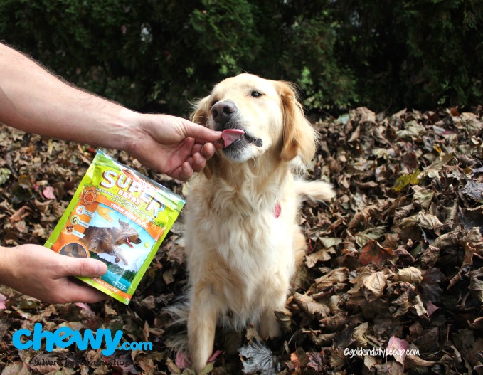 Fueling Your Dog's Superpower ChewyInfluencer