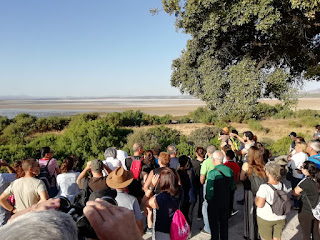 Laguna de Fuente de Piedra