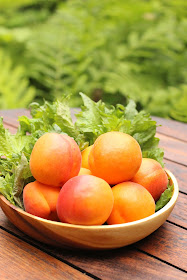 shrub maison abricot et perilla