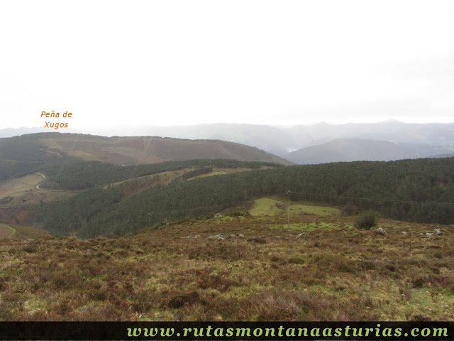 Camino a la pista forestal