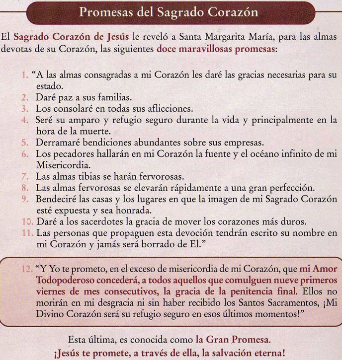 LAS 12 PROMESAS DEL ALMA - KOENIG, SHARON M. - NEW BOOK LAS 12 PROMESAS DEL ALMA - KOENIG, SHARON M. - NEW BOOK