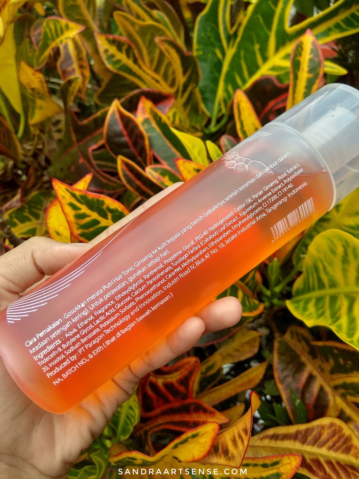 Sandraartsense.com: [REVIEW] Putri Hair Tonic Varian Ginseng