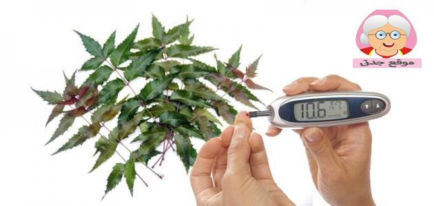 علاج السكر بالاعشاب جابر القحطاني