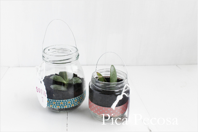 tutorial-hacer-regalo-companeros-colegio-cumpleanos-planta-en-bote-cristal-con-asa-alambre-diy