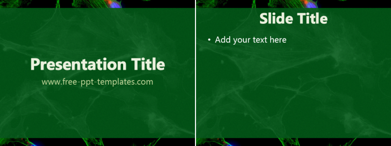Biology Cell PPT Template Free PowerPoint Templates biology-cell-ppt-template-free-powerpoint-templates