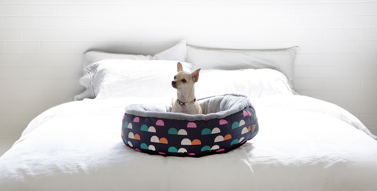 Bunnings dog accessories Outlet