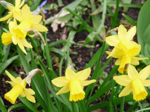 Dies Und Das Vom Neckarstrand Tag Des Unkrauts