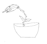 le piante carnivore, ricerca per la scuola primaria sul mondo vegetale pianta carnivora da colorare