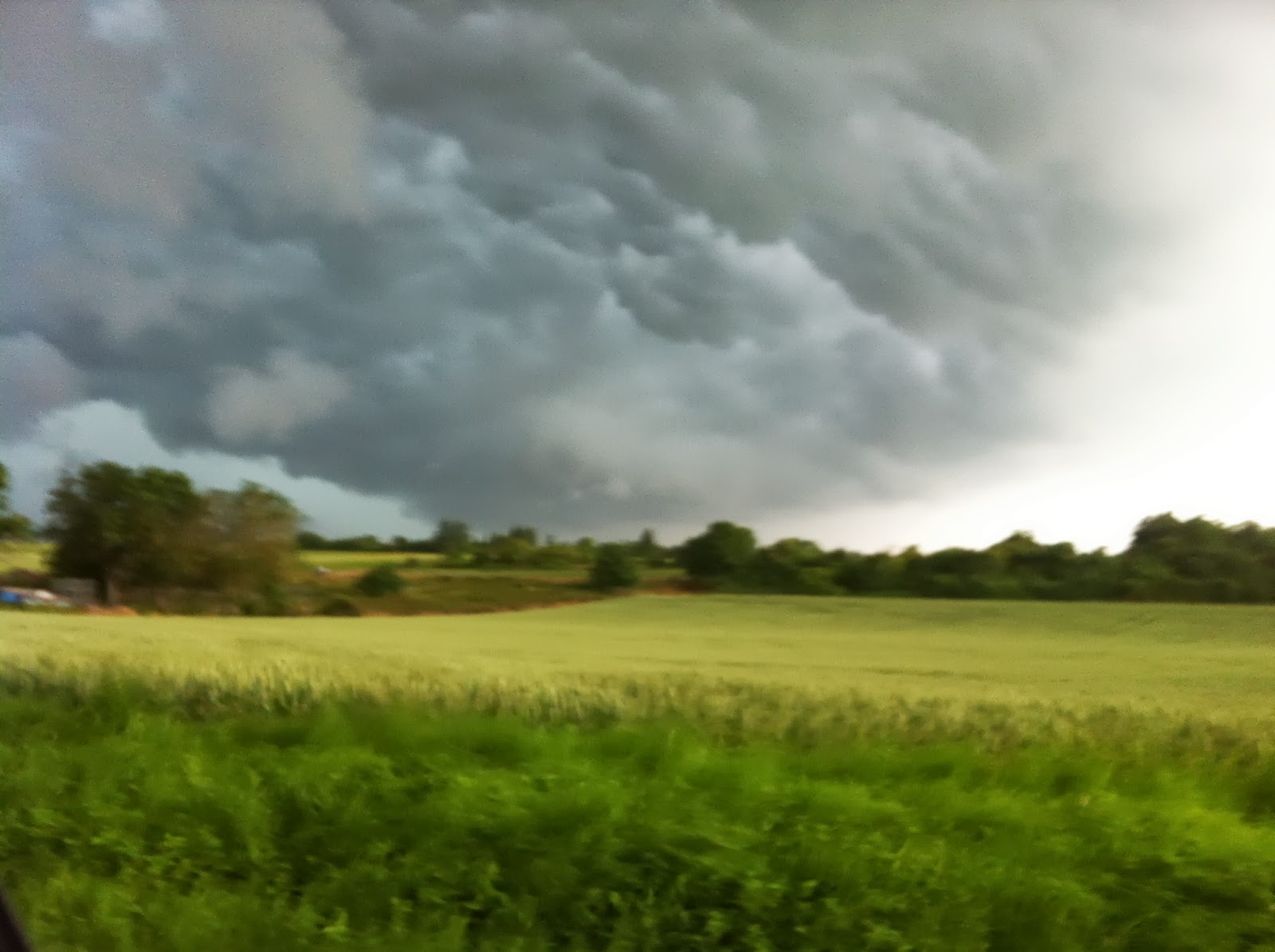 CHAMPIGNY SUR YONNE, ET SENONAIS