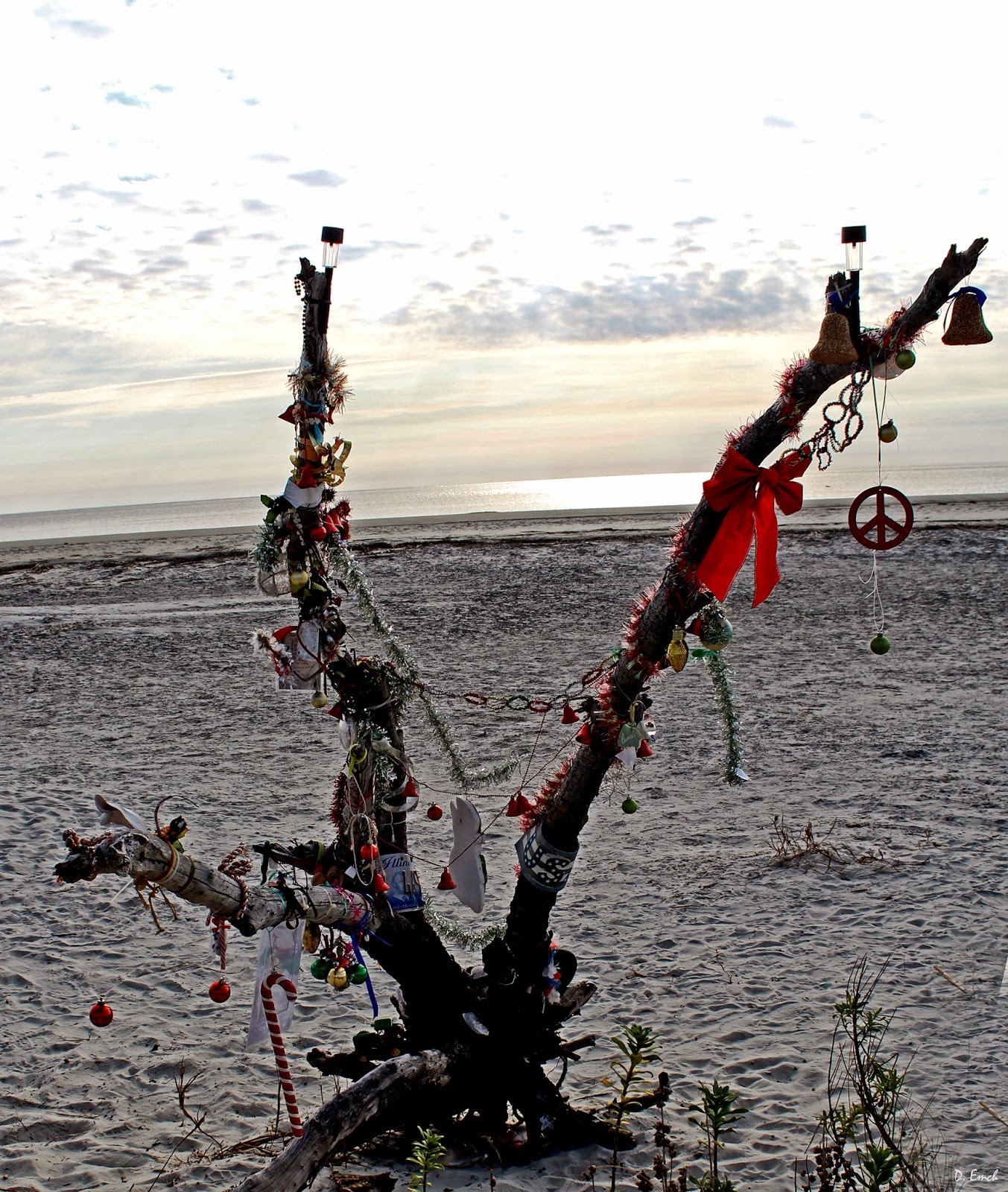 Capture America Journal St Simon S Island Ga Fort