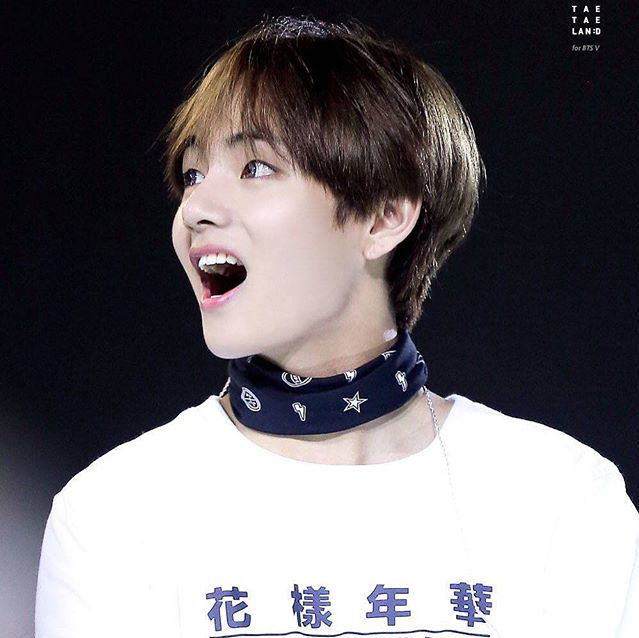 Afficher l’image source