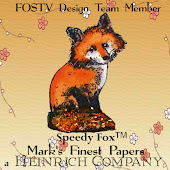 FOSTV Design Team Member (Past)