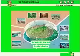http://www.edu.xunta.es/espazoAbalar/sites/espazoAbalar/files/datos/1363880219/contido/Unidade4/indice_ecosistemas.html
