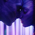 Sam Worthington et Zoe Saldana officiellement de retour pour Avatar 2, 3 & 4 ! 