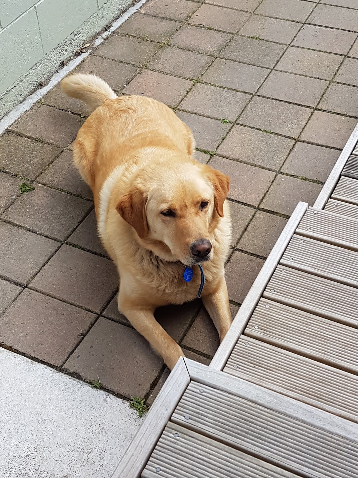 George, our other baby