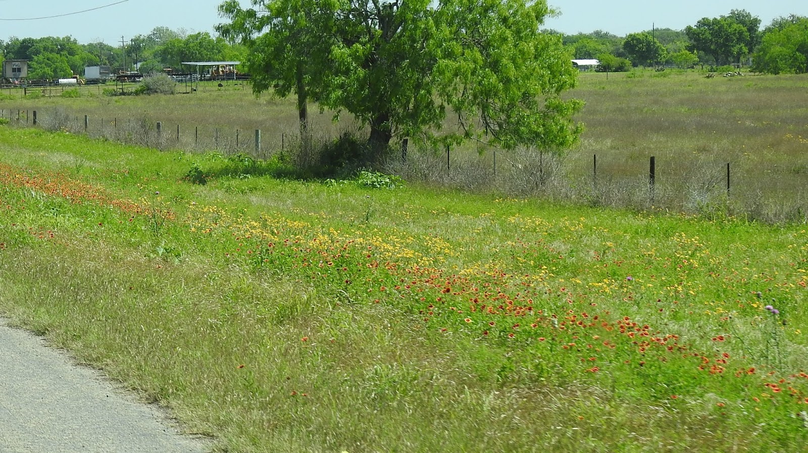 Travel with Kevin and Ruth Relaxing at Lake Corpus Christi State Park