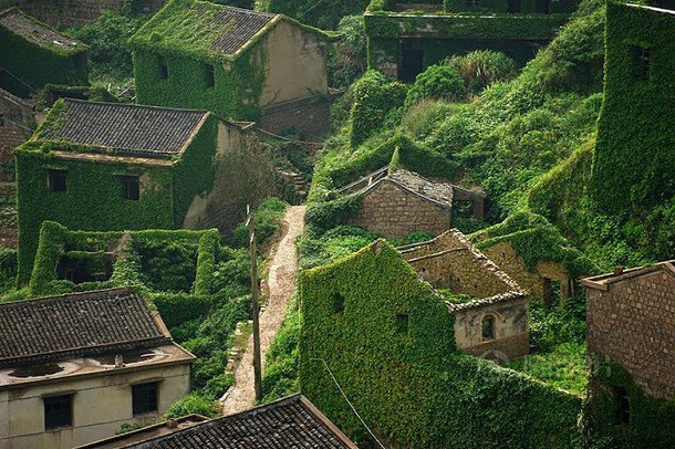 La nature reprend ses droits dans un village chinois  Village-chine-nature-vegetation-6