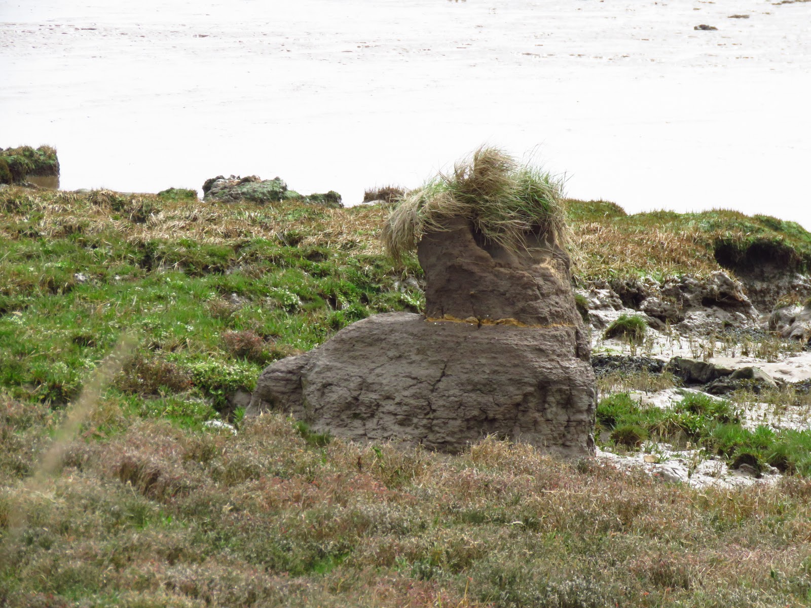 Wild at Hull Walking the Humber. Stage 12. Sunk Island East