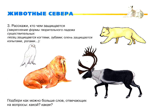 неделя животные севера подготовительная группа