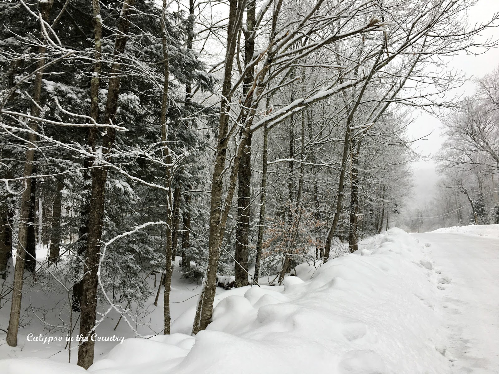 Vermont Snow
