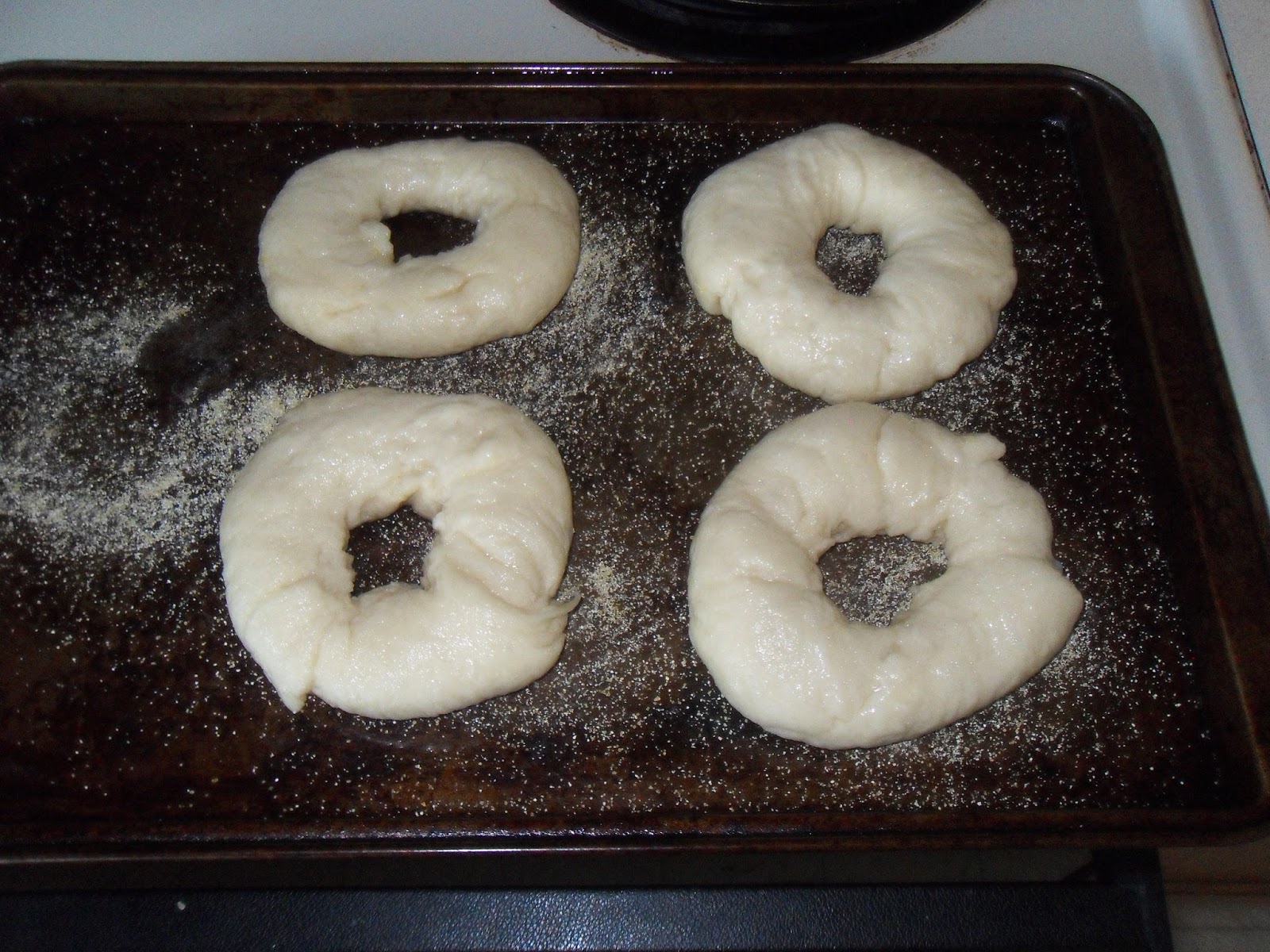 Simple Joy Crafting Homemade Bagels
