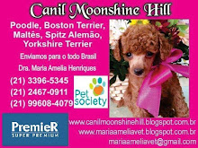 CANIL MOONSHINE HILL