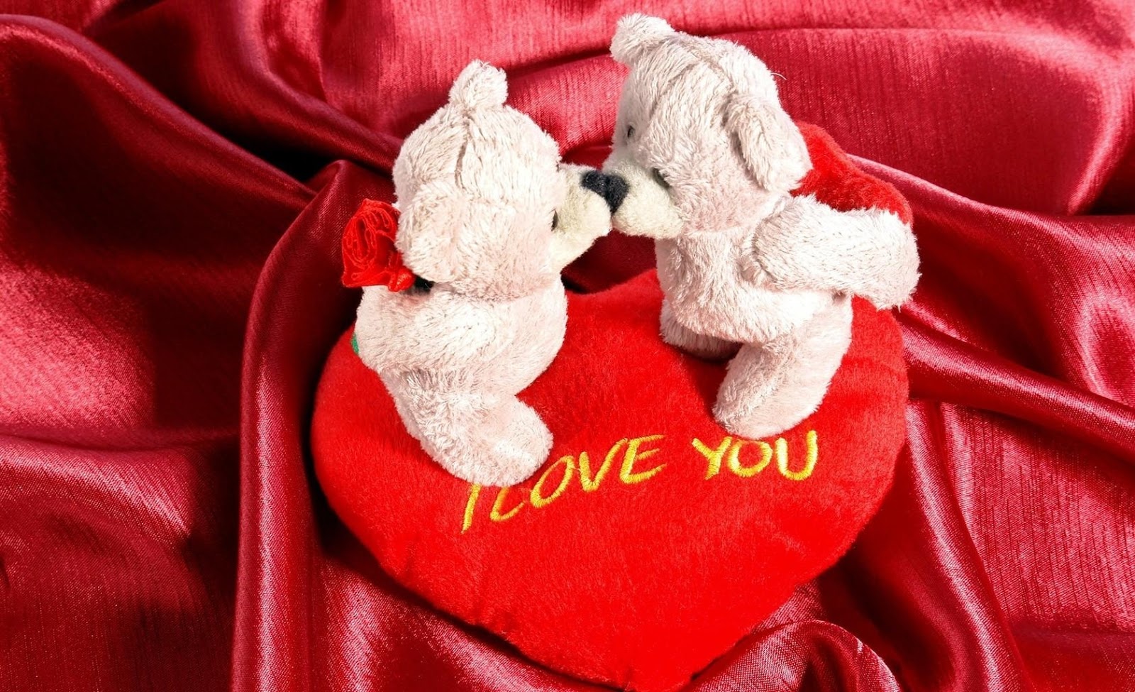 صور عيد الحب 2013 تحميل مباشر 2015