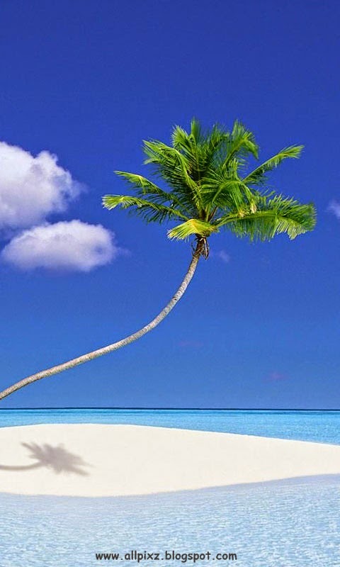 Samsung All Mobile Hd Wallpapers Free Download