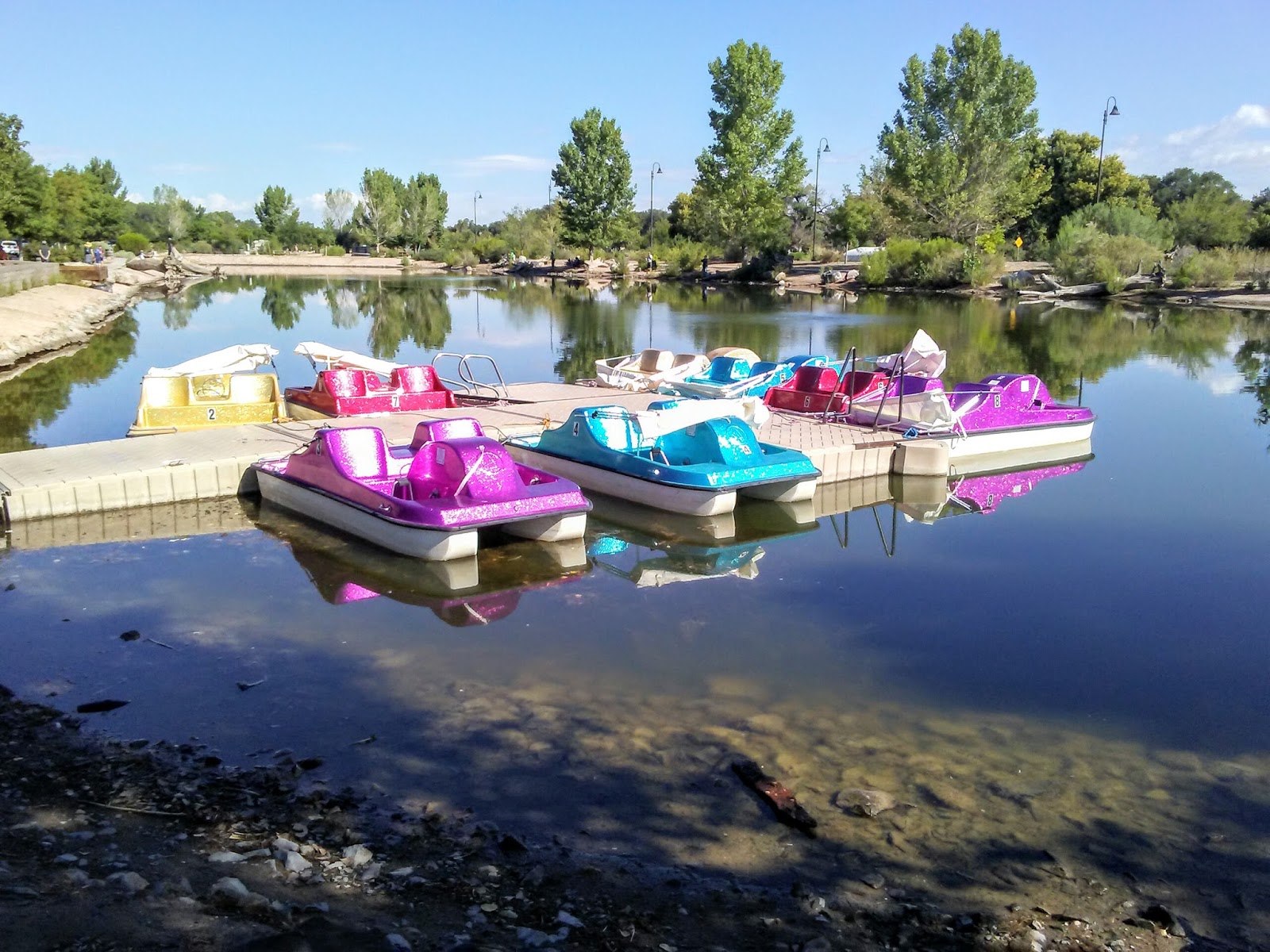 Mom Knows Best Tingley Beach Requires COOLA Sport Sunscreen Spray