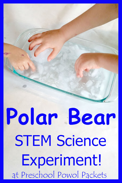 Arctic Animals Preschool Science: Blubber and Ice Explorations