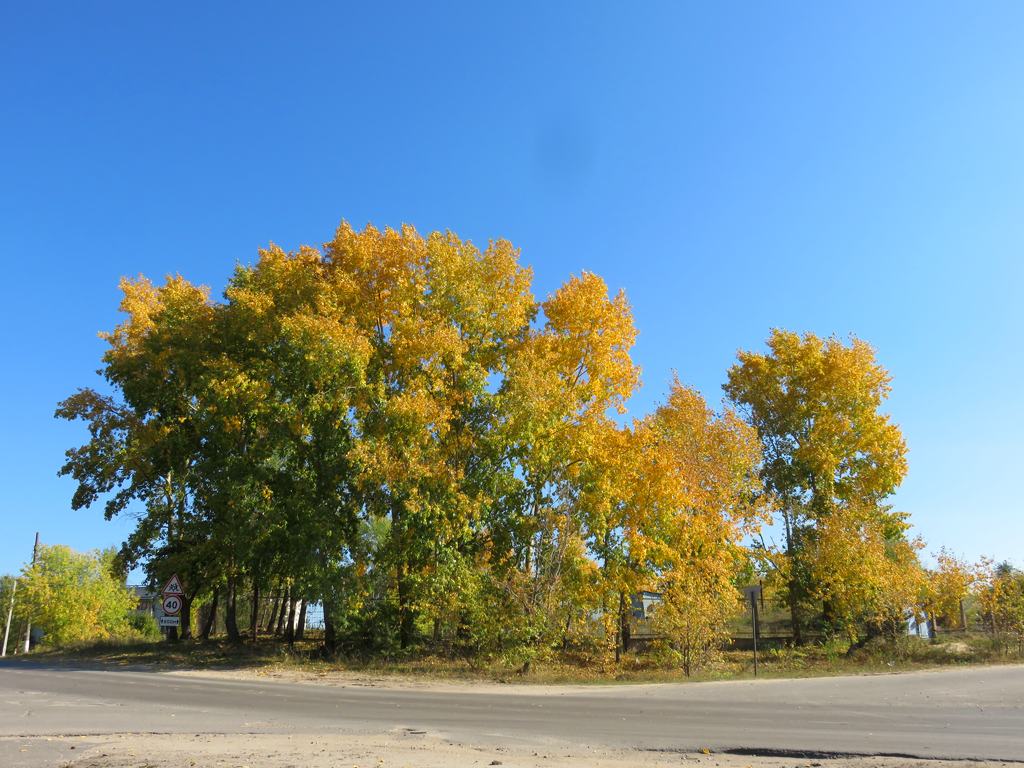 засентябрило гиф. ликвидамбр мацеста. засентябрило за окном. засентябрило с надписями. песню засентябрило за окном.