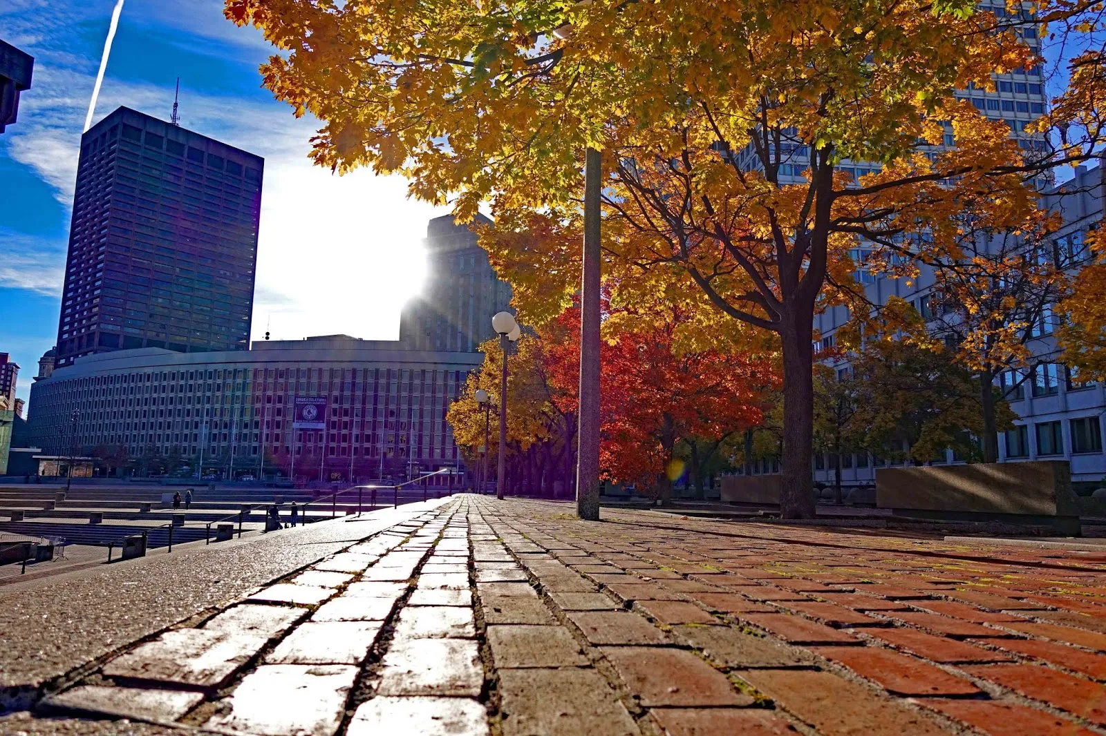 fun things to do in Boston
