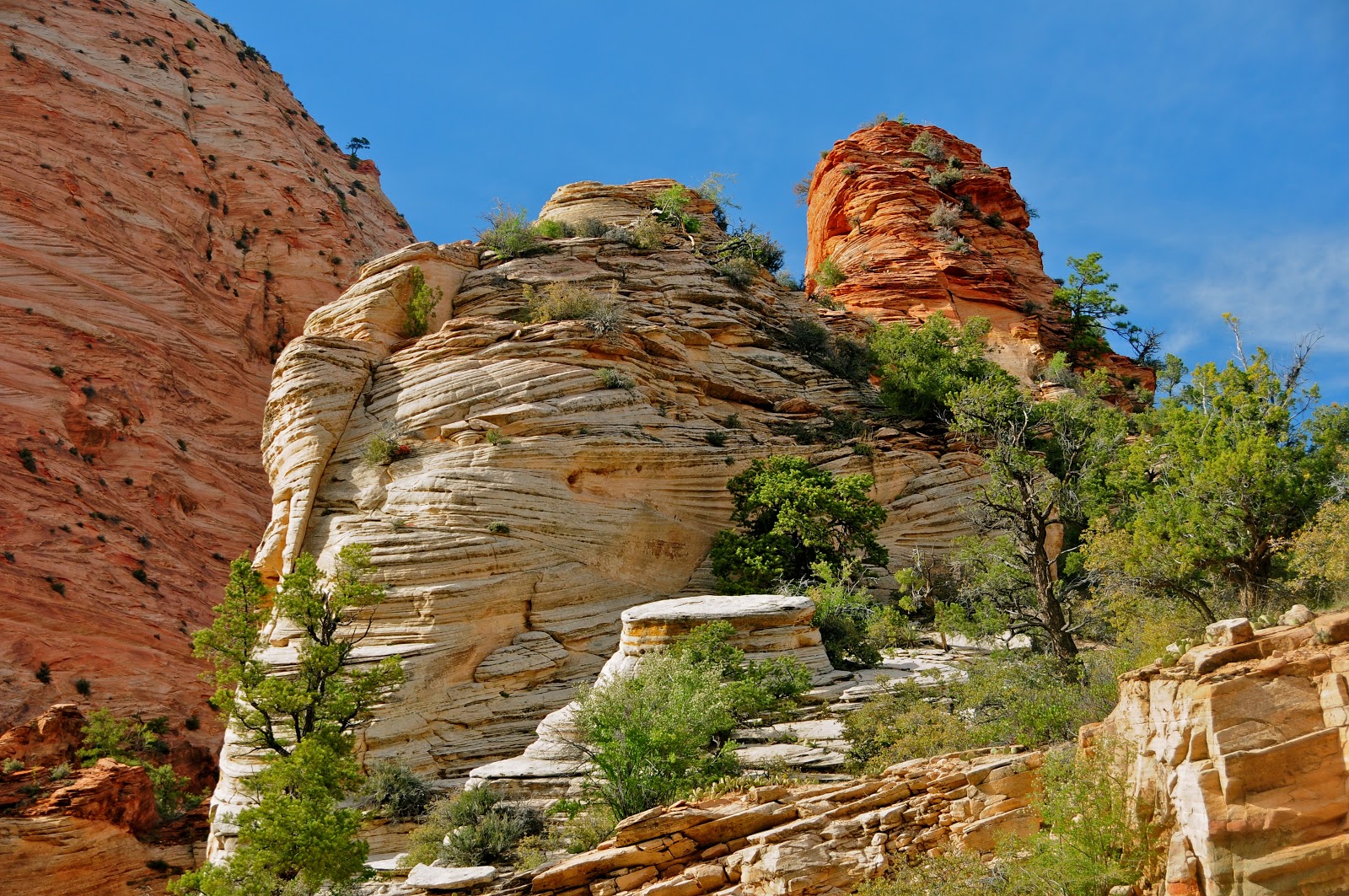 Shower Wisdom Zion National Park