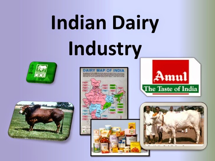 INDIAN DAIRY INDUSTRY RELATED